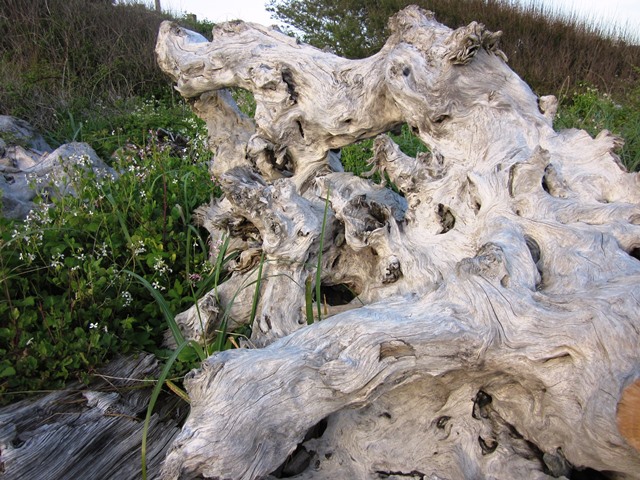 In Nature
