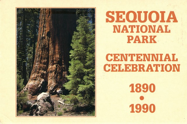 Perfect Post Cards