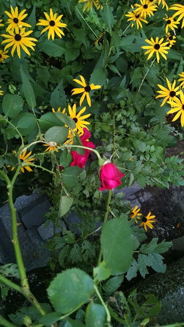 In Nature